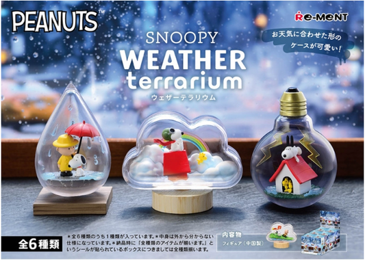 Peanuts Snoopy Weather Terrarium