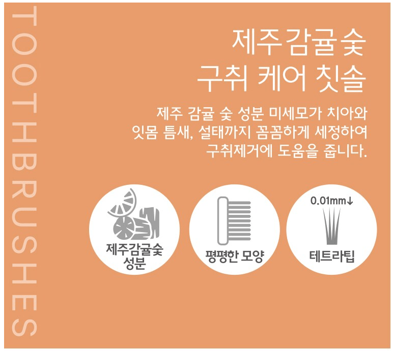 Jeju Mandarin Toothbrush 4pcs / South Korea Jeju Island Gift
